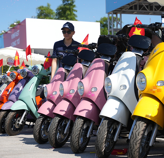 Lựa chọn bền vững